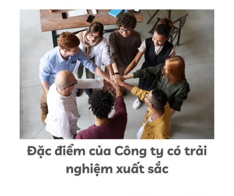 Đặc điểm của Công ty có trải nghiệm xuất sắc